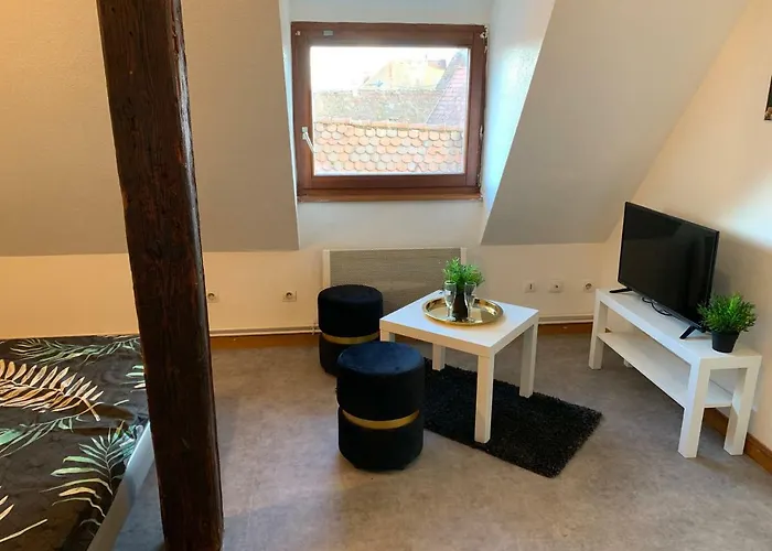 Studio à Ribeauvillé